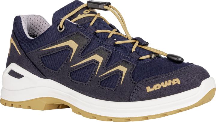 Produktbild Lowa Innox Evo GTX Lo (35)