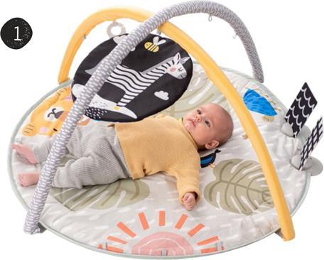 Image du produit Taf Toys Savannah