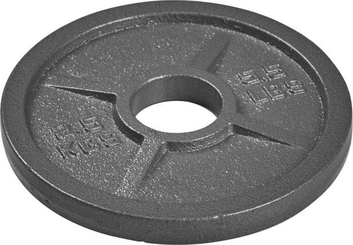 Produktbild Tanga Sports ® Hantelscheibe Guss