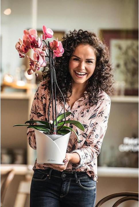 Actual product image Lechuza Orchidea (17.90 cm)