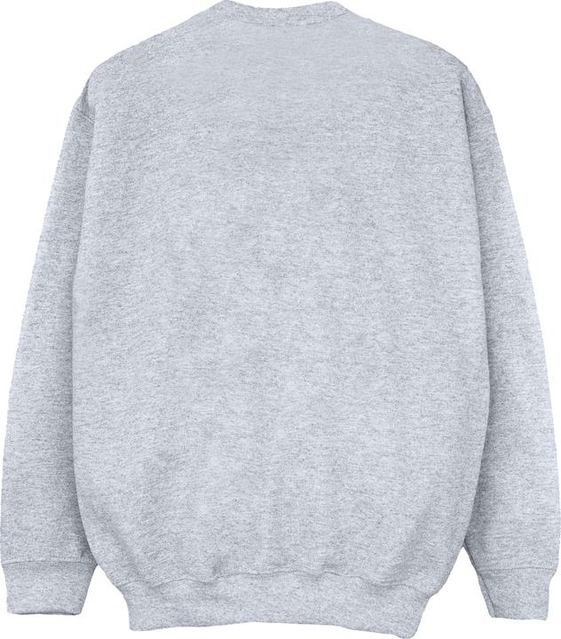 Actual product image Nasa Girls Distressed Logo Cotton Sweatshirt (152, 158)