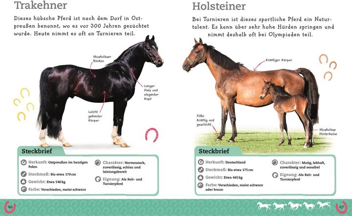 Image du produit Pferde und Ponys (Allemand, DK Verlag - Enfants, 2019)