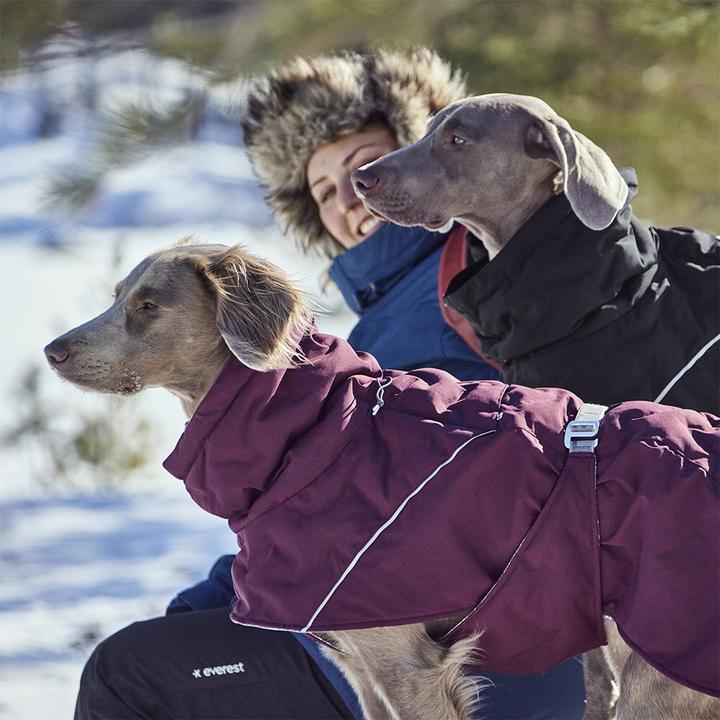 Immagine prodotto Hurtta Scaldino Estremo V3 Eco Nero, 35 cm (35, Cappotto per cani)