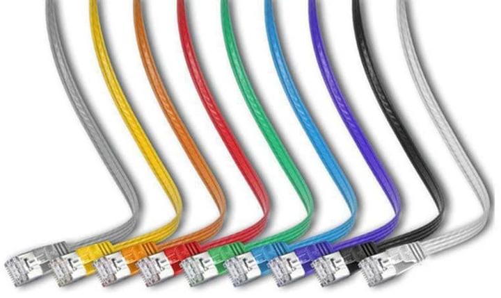 Image du produit Wirewin Câble de réseau (STP, CAT6, 0.75 m)