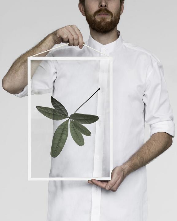 Actual product image Moebe Frame (42 x 29 cm)