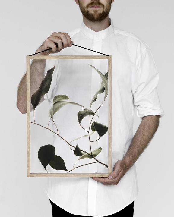 Image du produit Moebe Cadre (59 x 42 cm)