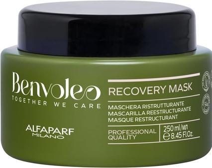 Produktbild Alfaparf Alfa Benvoleo Recovery Mask 250ml (250 ml)