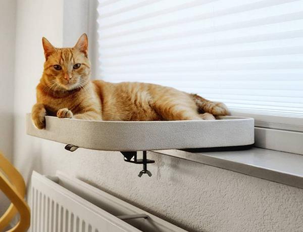 Actual product image EBI Window bed KYO, 50 x 40 cm (Cat)