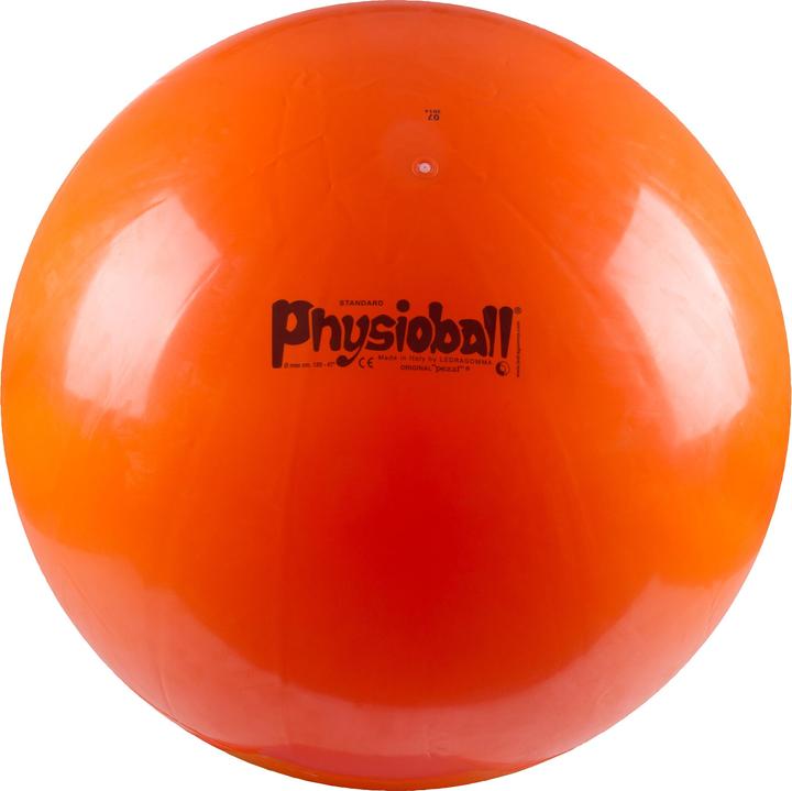 Actual product image Ledragomma Original pezzi ball (120 cm)