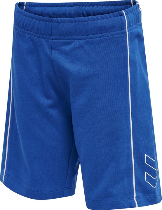 hummel Ditmer Shorts (146)