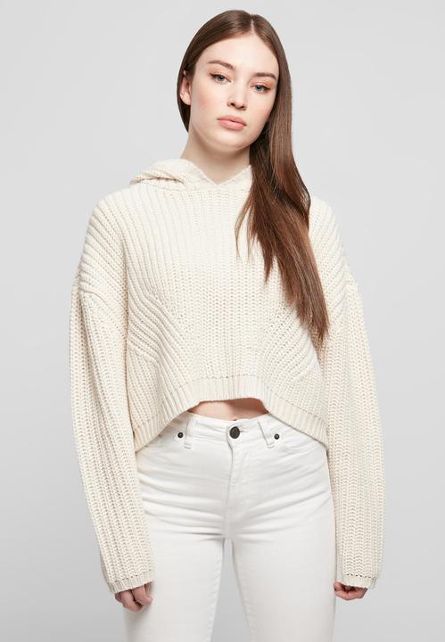 Image du produit Urban Classics Pull à capuche oversize pour femmes (XL)