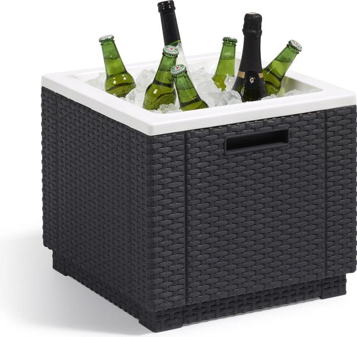 Immagine prodotto Allibert CUBO DI GHIACCIO O CUSCINO ART. 201309 - ANTRACITE (40 l)