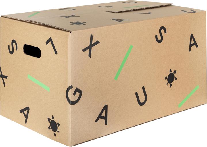 Galaxus Umzugskarton (10er Set) (56 x 35 x 30 cm, 60 l)
