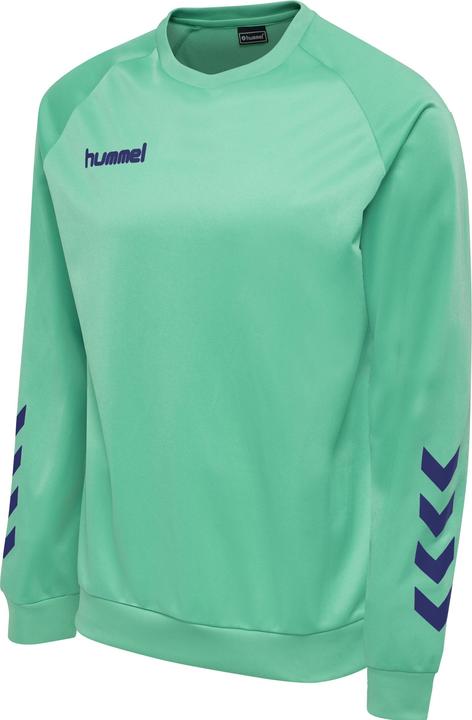 Immagine prodotto hummel Felpa Poli Promozionale Per Bambini (164)
