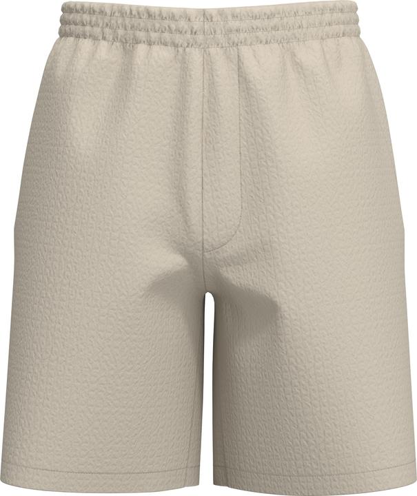 Produktbild Selected Homme Seersucker Shorts (L)
