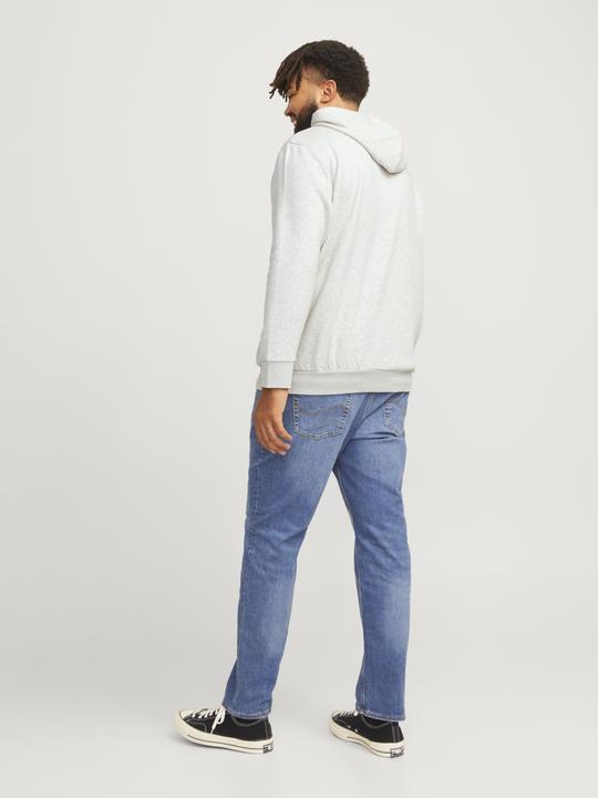 Immagine prodotto Jack & Jones JJELOGO SWEAT HOOD 2 COL 24/25 NOOS PLS (5XL)