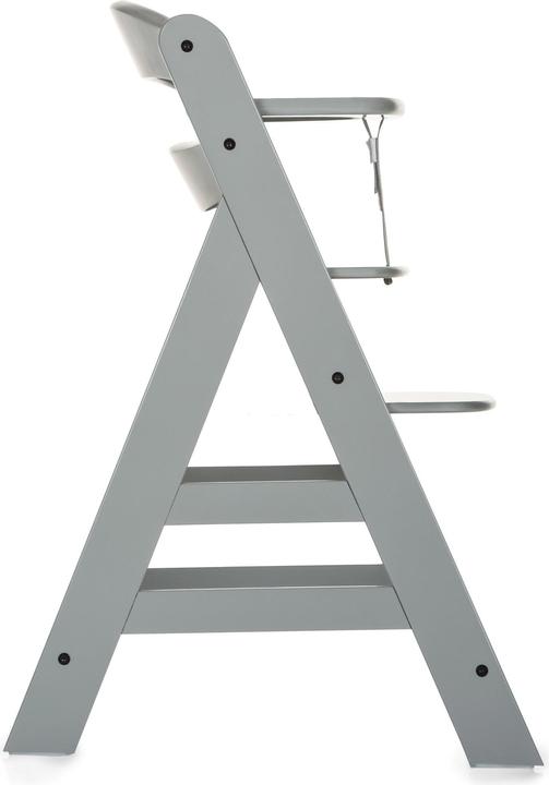 Productafbeelding Hauck Alpha+ (Kinderstoel)