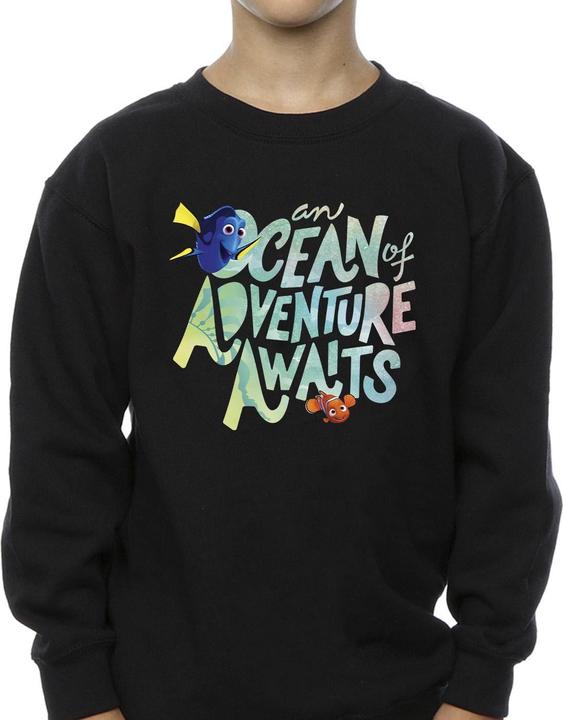 Produktbild Disney Finding Dory Ocean Of Adventure Sweatshirt Jungen (152, 158)