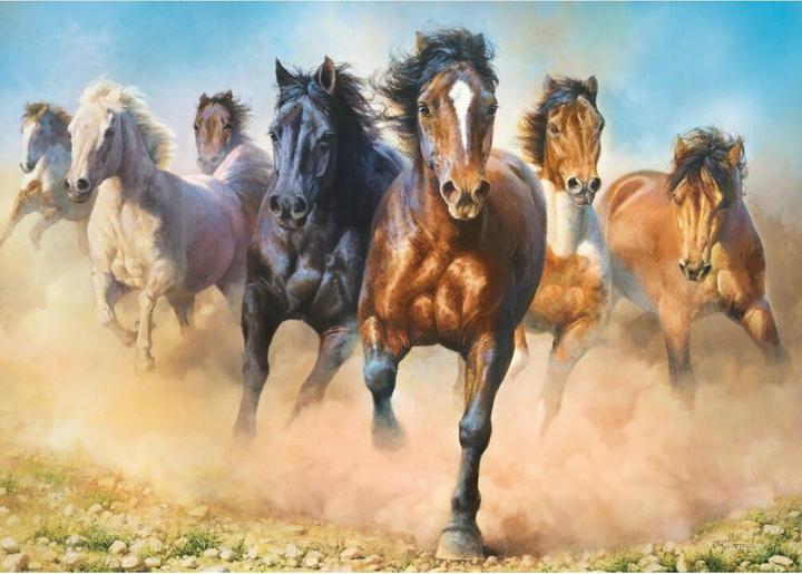 Actual product image Trefl Wild Horses Puzzle 2000 pieces (2000 pieces)