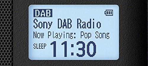 Actual product image Sony Xdr-S41d (DAB+, FM)