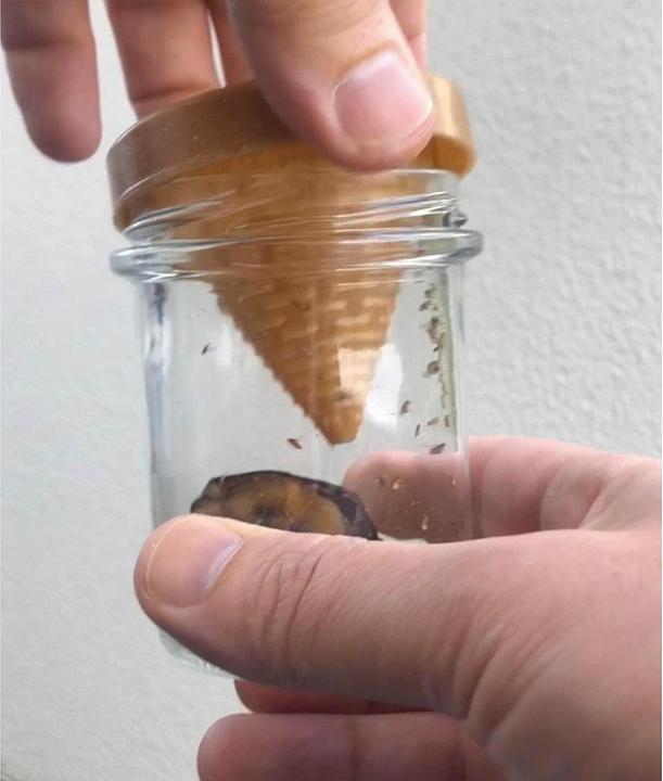 Produktbild Vincentes Frubby
