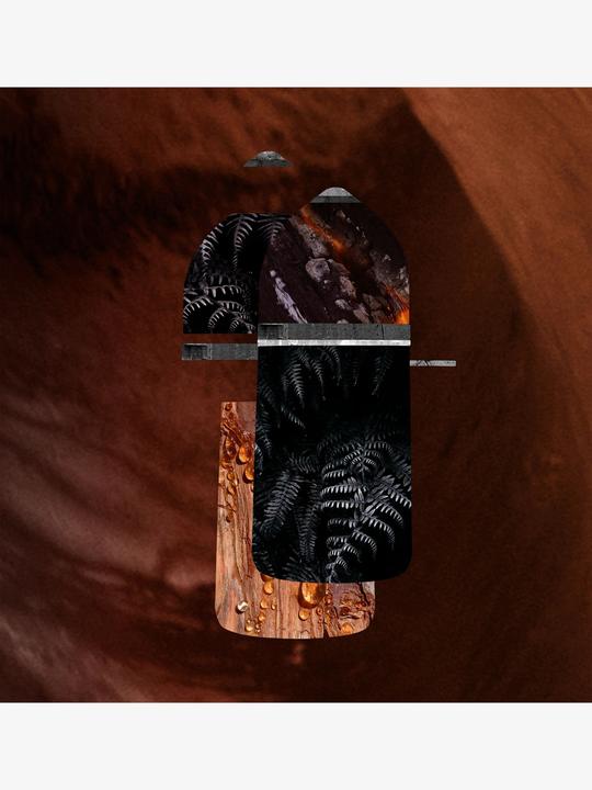 Actual product image Cartier Pasha de Noir Absolu (Eau de parfum, 100 ml)