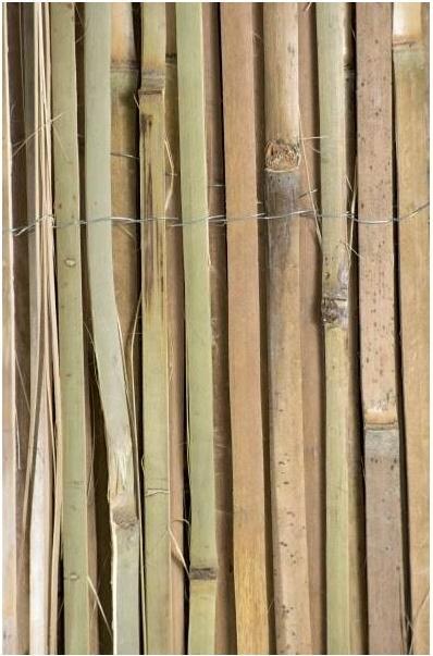 Image du produit Windhager Mitake (300 cm)