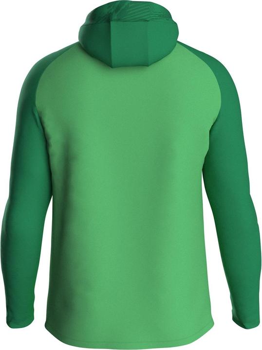 Actual product image JAKO Iconic hooded jacket (164)