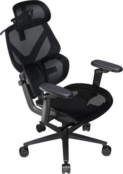 Immagine prodotto Thunder X3 ThunderX3 FLEX Pro Gaming Stuhl, ergonomisch - Mesh, schwarz