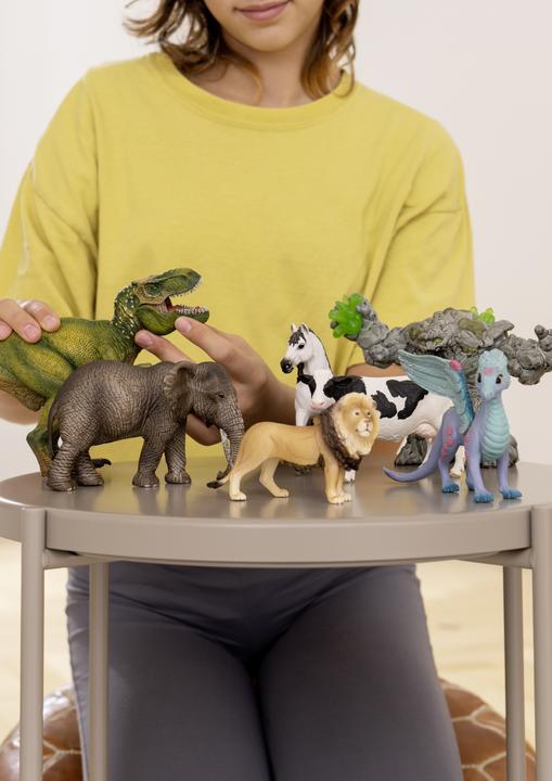 Produktbild Schleich Blütendrache und Kind