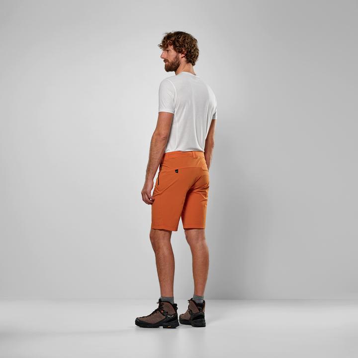 Immagine prodotto Salewa Pantaloncini Puez Talveno Durastretch (L)