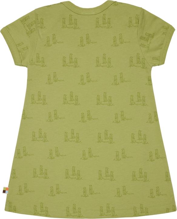 loud + proud Kleid Druck (86)