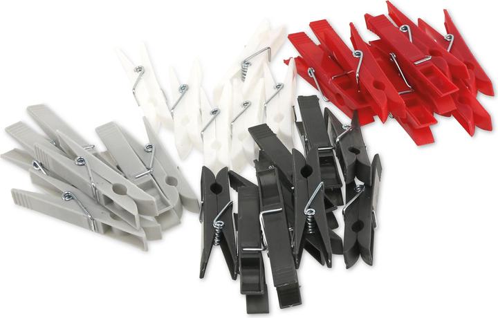 Actual product image Dirt Devil Clothes pegs 30pcs