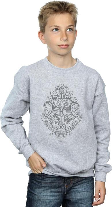 Actual product image Boys Hogwarts Draco Dormiens Crest Sweatshirt (152, 158)