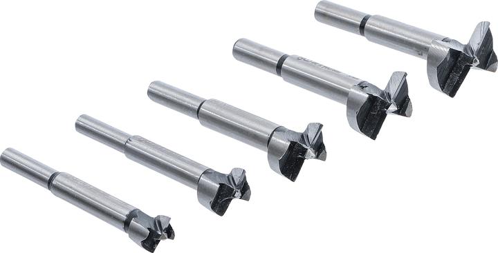 Immagine prodotto BGS Punta Forstner impostata (25 mm, 20 mm, 30 mm, 15 mm, 35 mm)