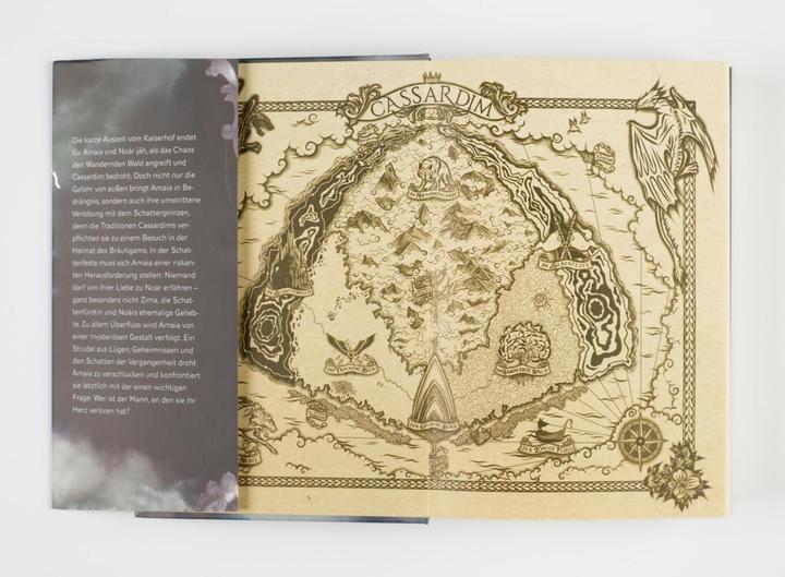 Actual product image Planet Cassardim 2: Jenseits der Schwarzen Treppe (German, Julia Dippel, 2020)