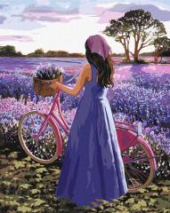 Image du produit Ideyka Malen nach Zahlen - Lavendel-Inspiration