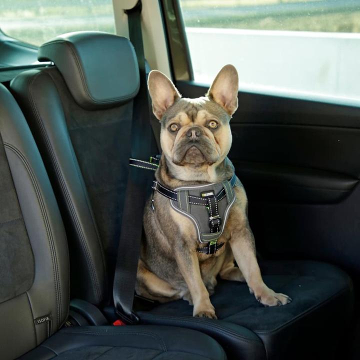 Immagine prodotto Kerbl Autosicherheitsgeschirr (Cane, Chiusura di sicurezza)