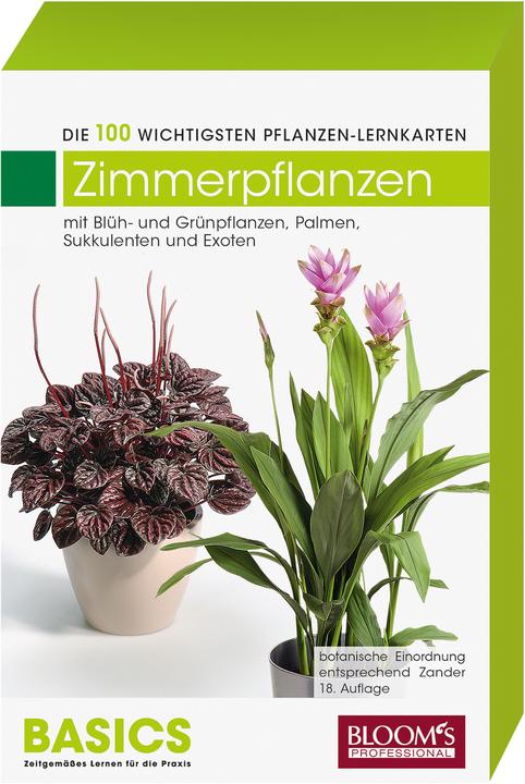 Produktbild Pflanzen-Lernkarten. Zimmerpflanzen