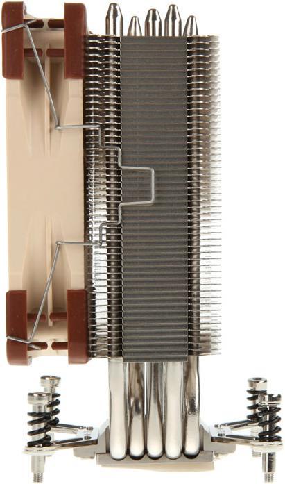 Image du produit Noctua NH-U12DX i4 (158 mm)