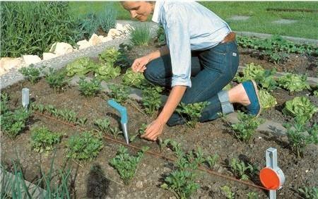 Actual product image Gardena Planter 3487