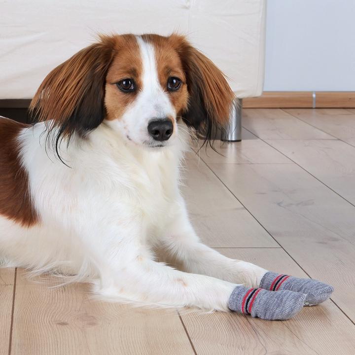 Actual product image Trixie Dog socks (M, L, Dog socks)