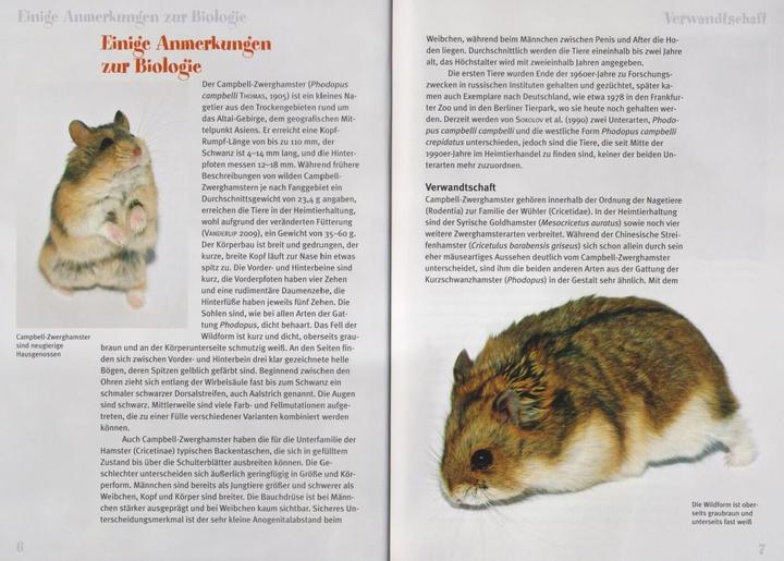 Immagine prodotto Der Campbell-Zwerghamster (Tedesco, Stefan Kräh, 2014)