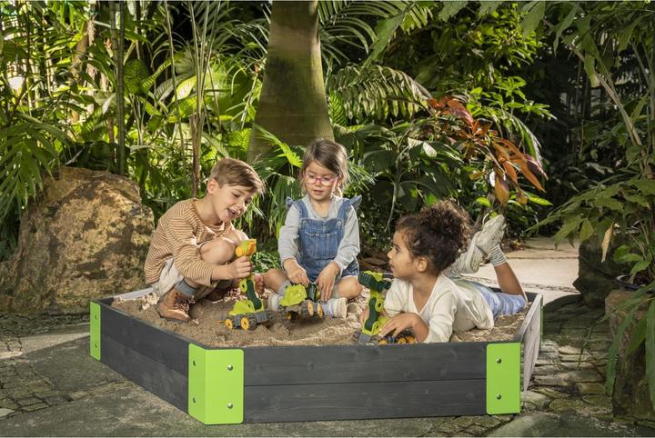 Actual product image BIG -PW Mini Dino Triceratops