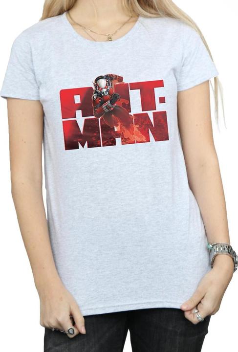 Actual product image Womens/Ladies Ant-Man Running Cotton T-Shirt (M)