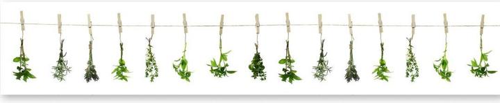 Image du produit Trenddeko Herbes (48 x 300 cm)