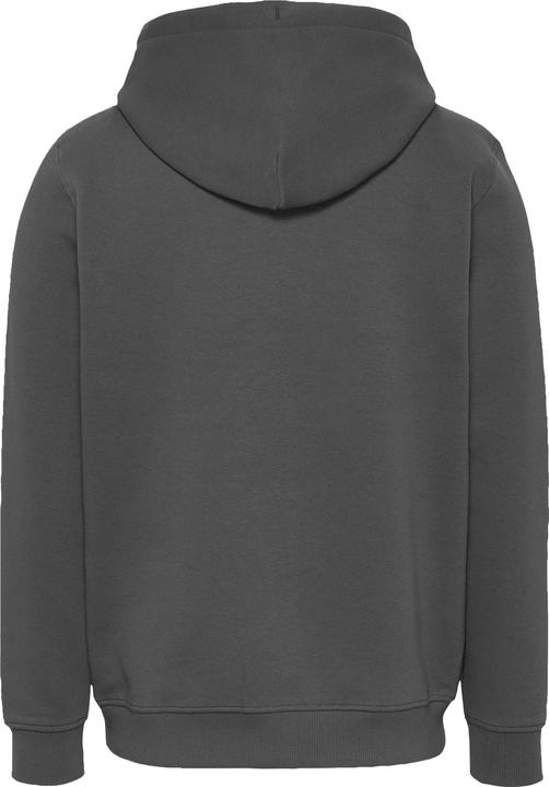 Actual product image Tommy Jeans Tjm Reg Linear Logo Hoodie Ext (S)