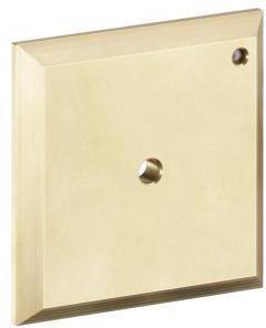 Immagine prodotto hansgrohe HG piastra da incasso ICONTROL cromo