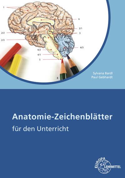 Produktbild Anatomie Zeichenblätter Arbeitsheft (Deutsch, Paul, Sylvana Gebhardt, 2016)