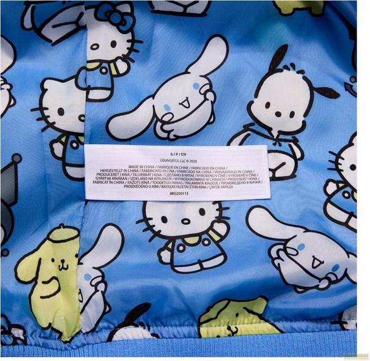 Produktbild Loungefly Sanrio by Kapuzenpullover Unisex Friends Grösse XL (XL)